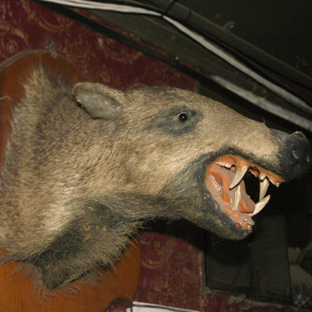 dive-bar9